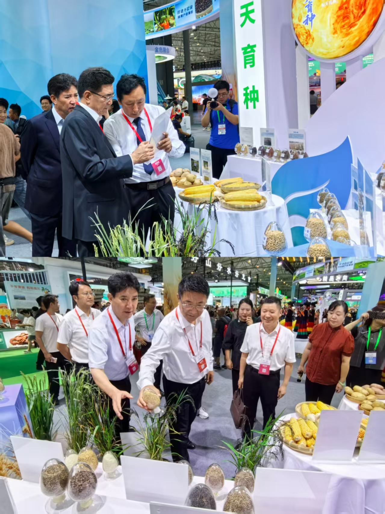 涼山州農科院圓滿完成2025年四川省農博會參展任務